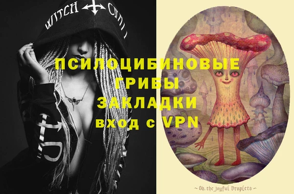 трава Новодвинск